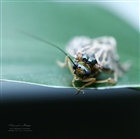 dailyPhoto35